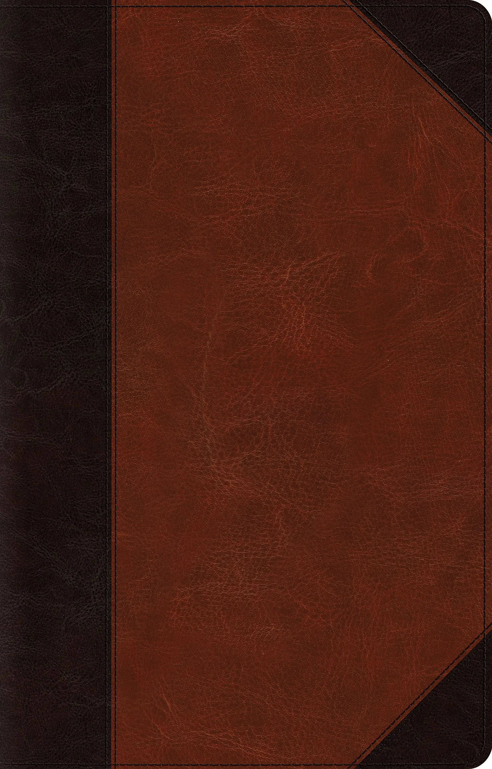 ESV Large Print Thinline Reference Bible (Two Tone), book cover