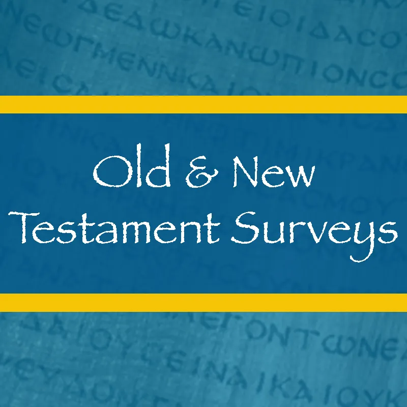 Old & New Testament Surveys: recommended Christian books
